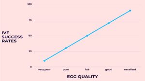 Chart for IVF Sucess rates and Egg Quality