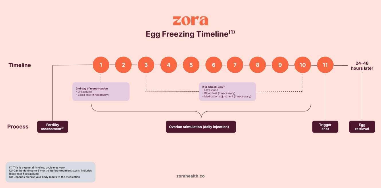 Egg Freezing Calendar Schedule
