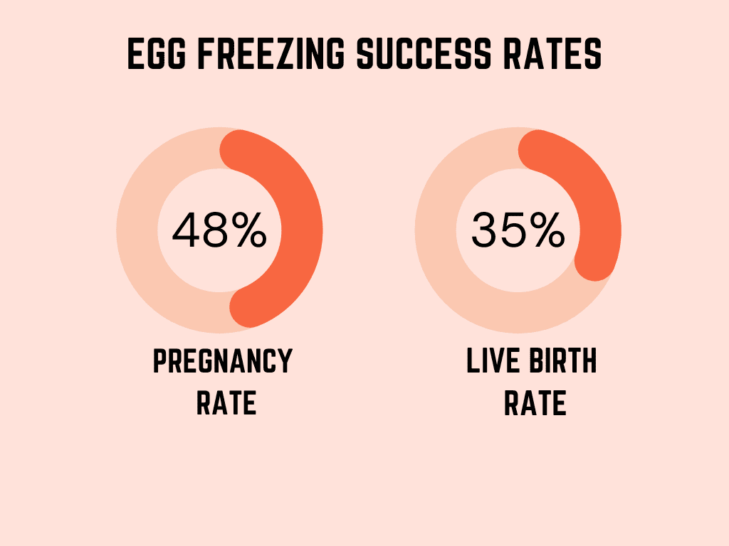 Retrieving the Best Eggs: The Science of Egg Retrieval Process